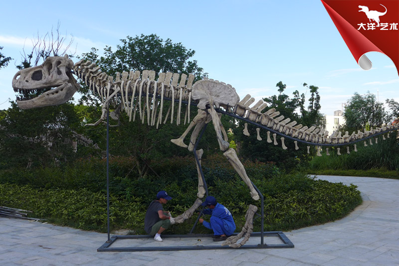 仿真骨架標(biāo)本模型-動物骨架