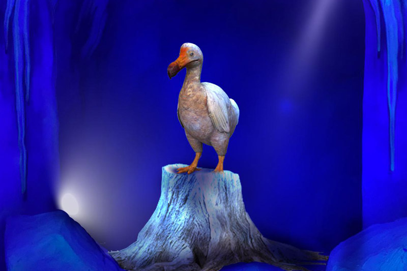 仿真動(dòng)物-渡渡鳥