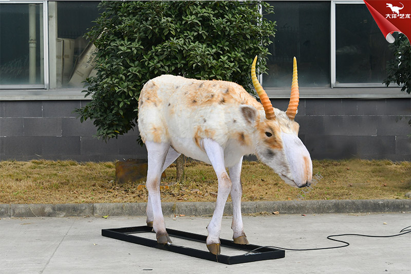 仿真動(dòng)物模型 高鼻羚羊模型