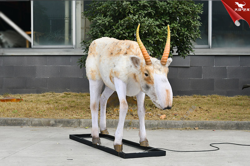 仿真動(dòng)物模型 高鼻羚羊模型