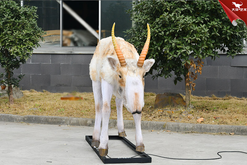 仿真動(dòng)物模型 高鼻羚羊模型